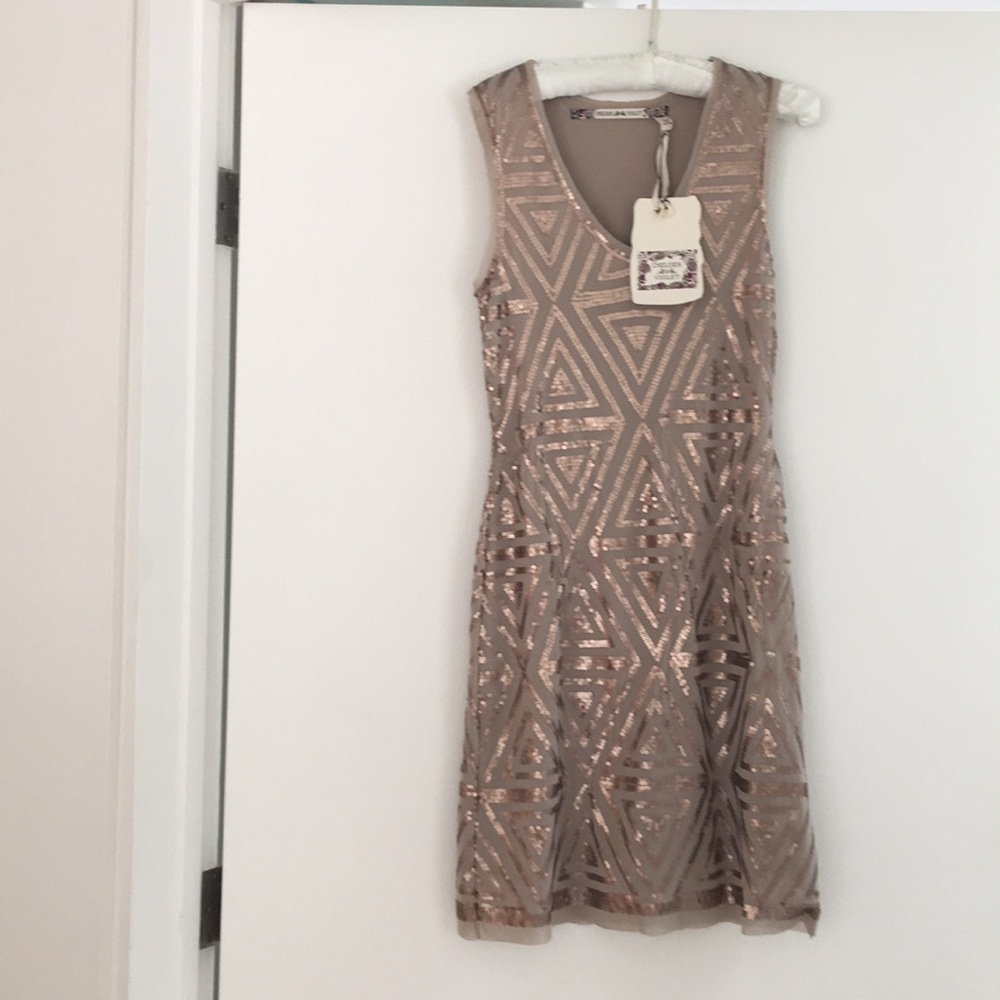 Sparkling Sexy Dress